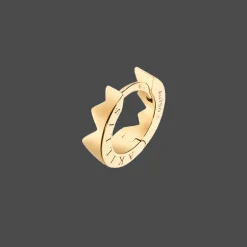 Capture Light Earcuff
