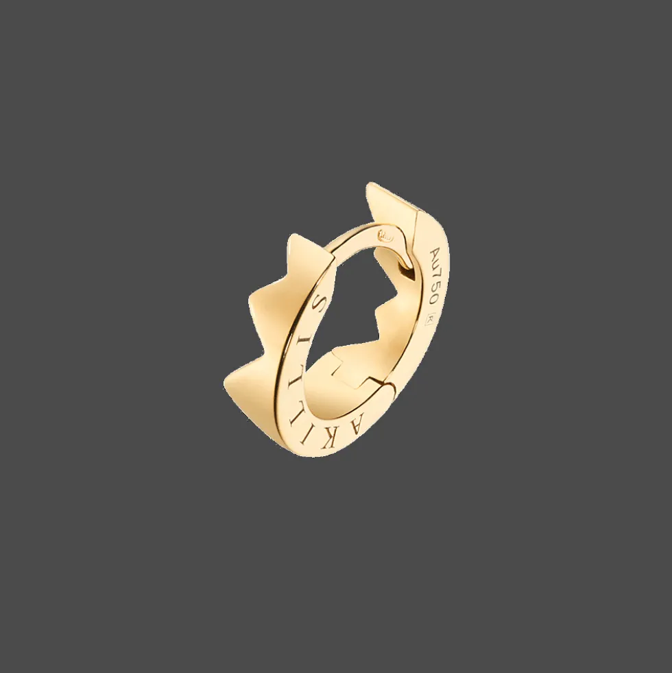 Capture Light Earcuff