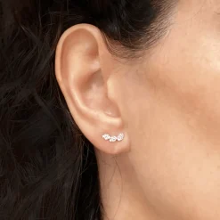Collection Leaves and crossed Earring Gold, Diamond