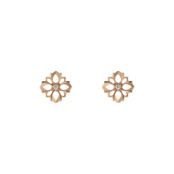 Earrings RG Diamond