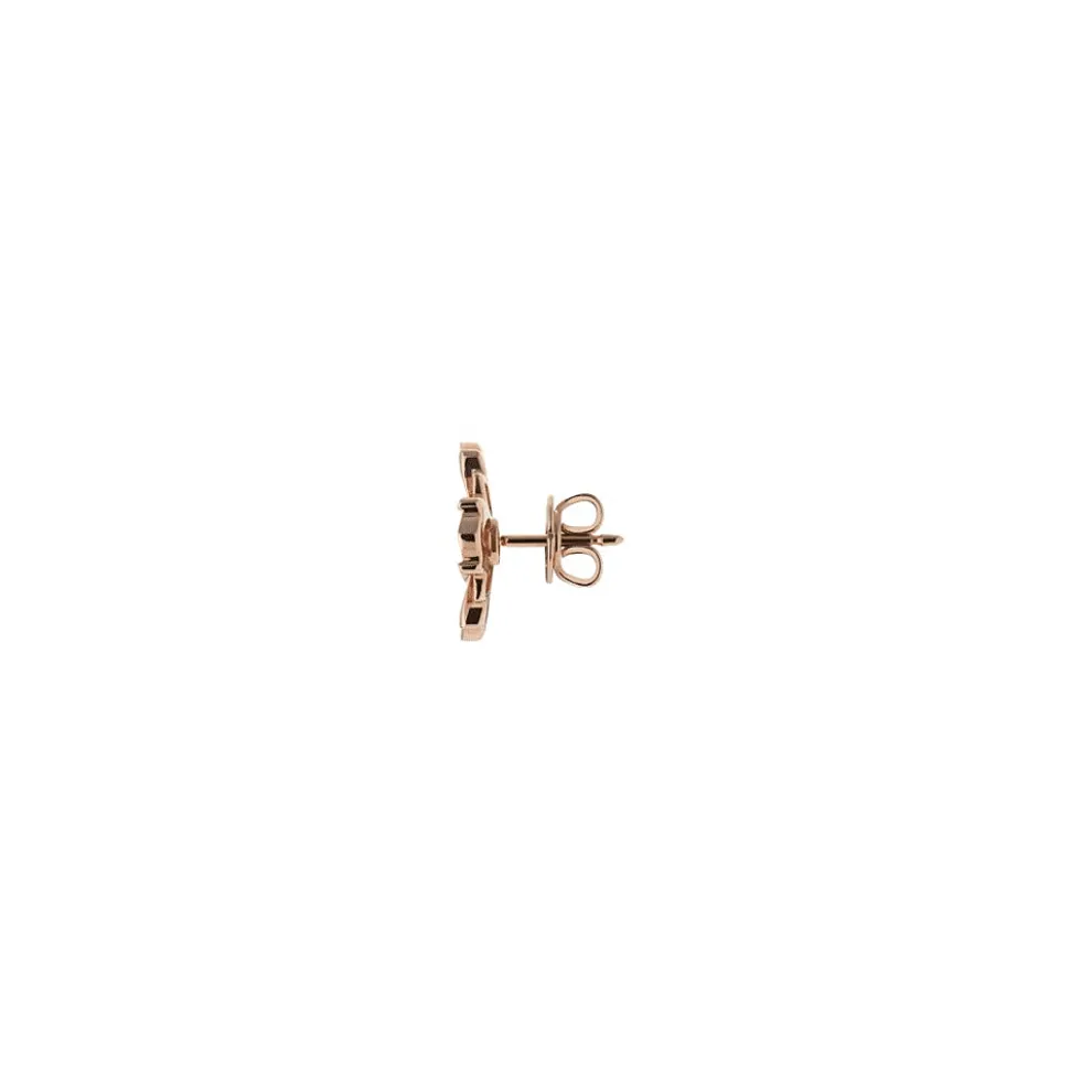 Earrings RG Diamond