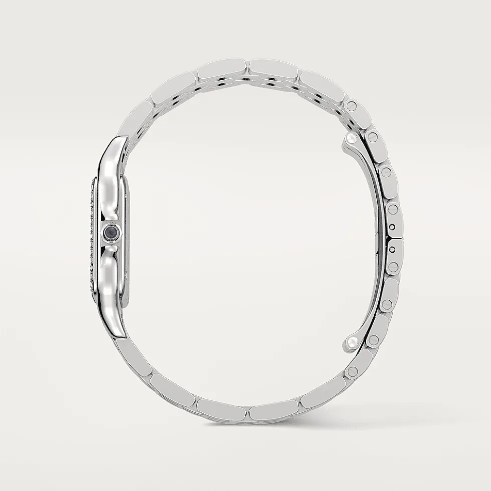 Panthère de Cartier