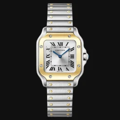 Santos de Cartier Small