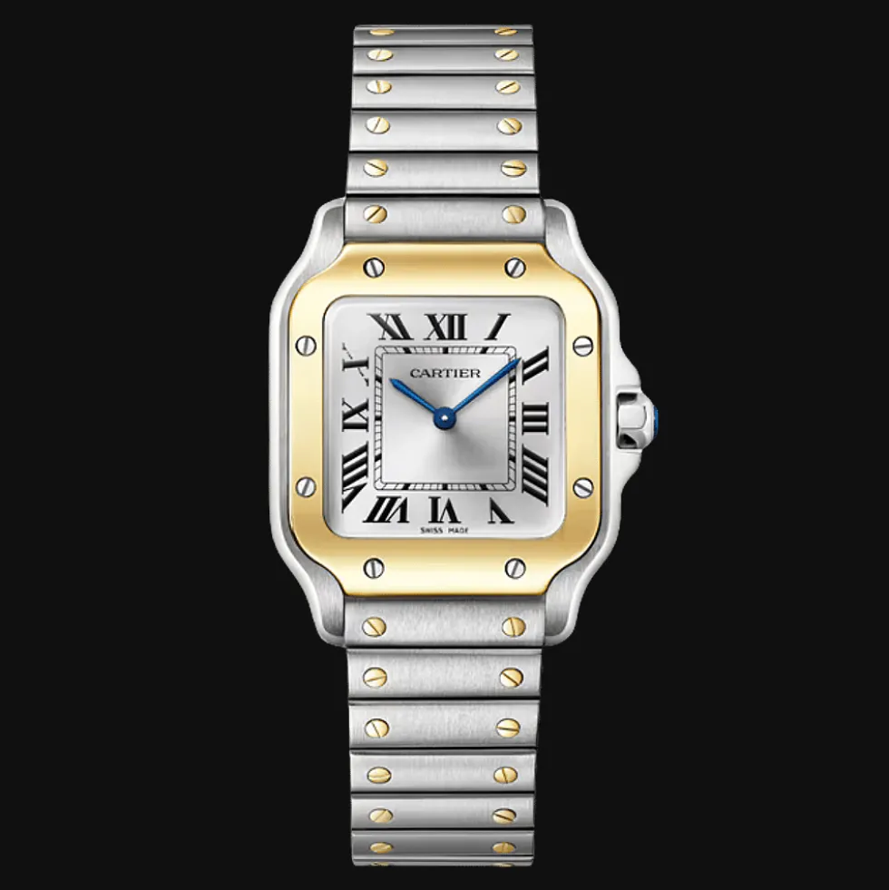 Santos de Cartier Small