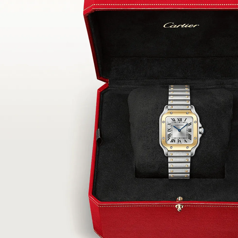 Santos de Cartier Small