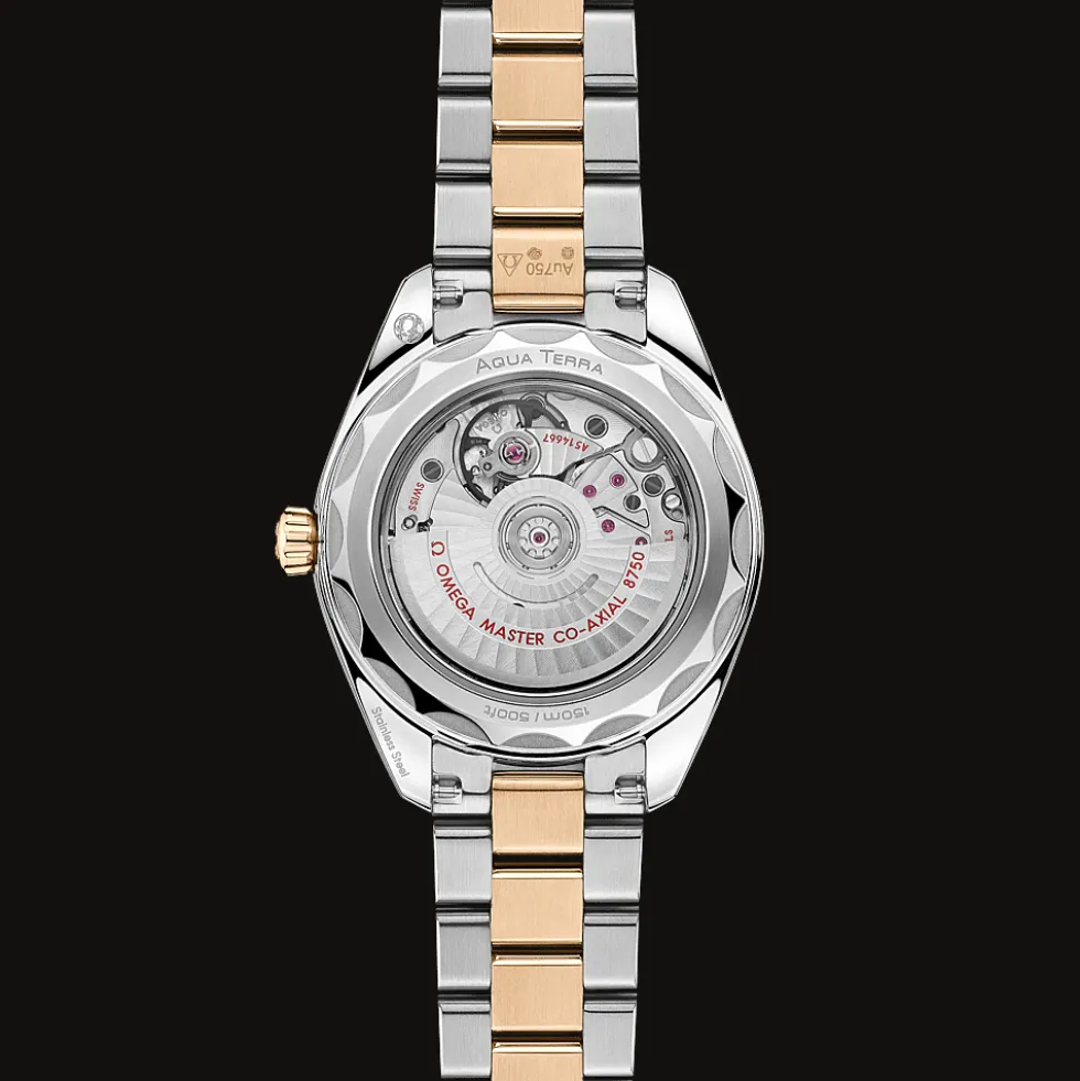 Seamaster Aqua Terra 150M 30mm