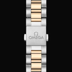 Seamaster Aqua Terra 150M 38mm
