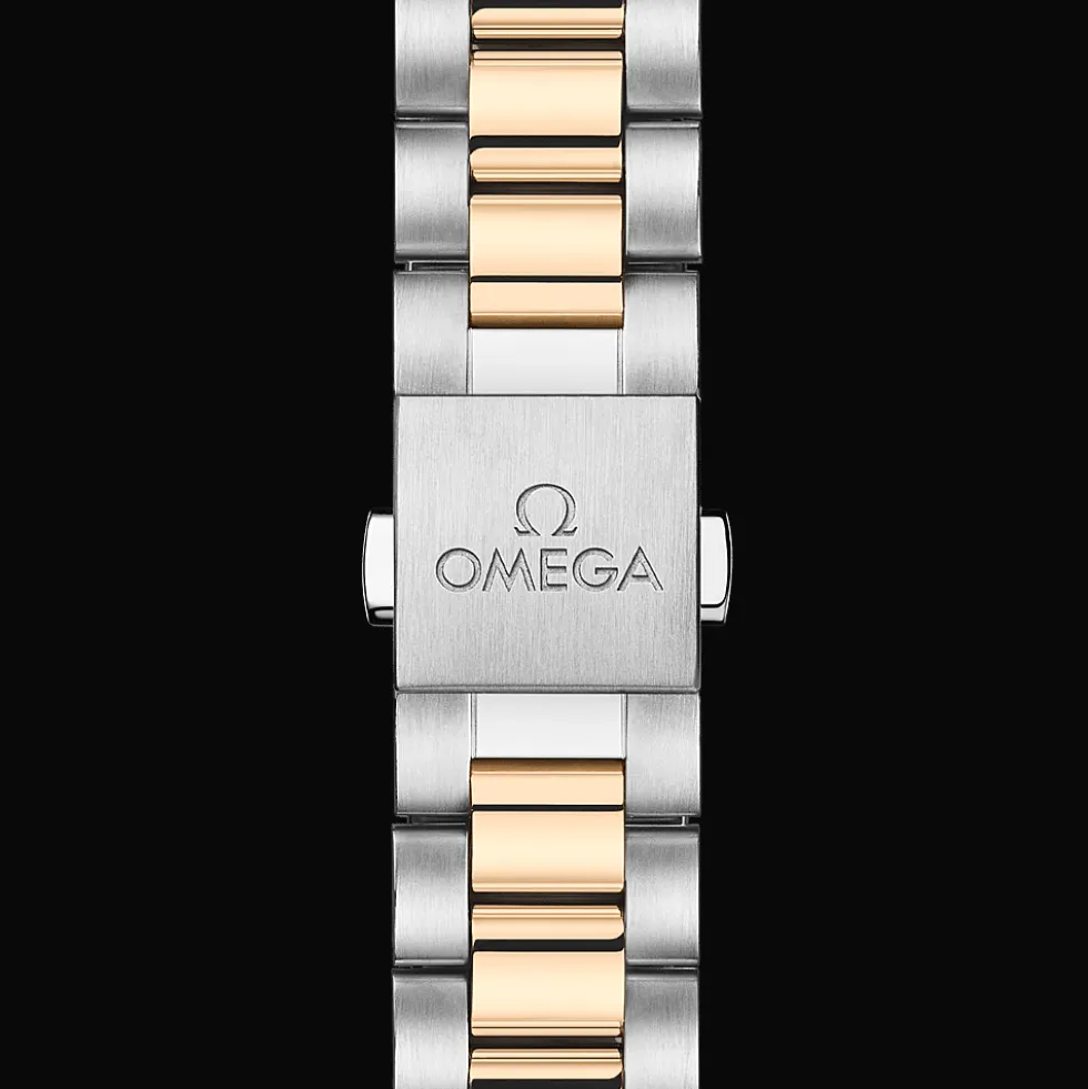 Seamaster Aqua Terra 150M 38mm