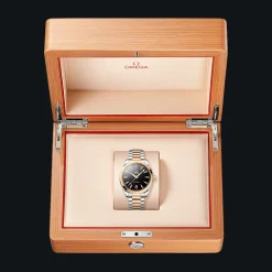 Seamaster Aqua Terra 150M 41mm