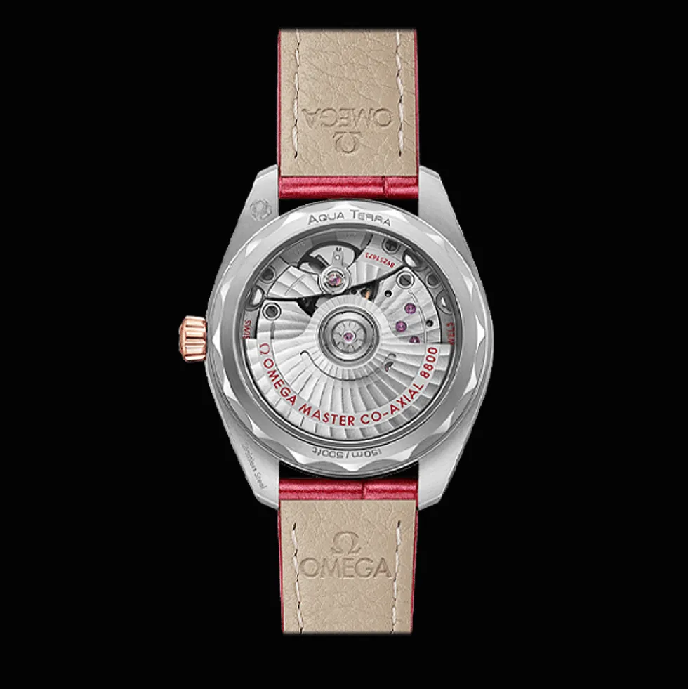 Seamaster Aqua Terra 150M 34mm