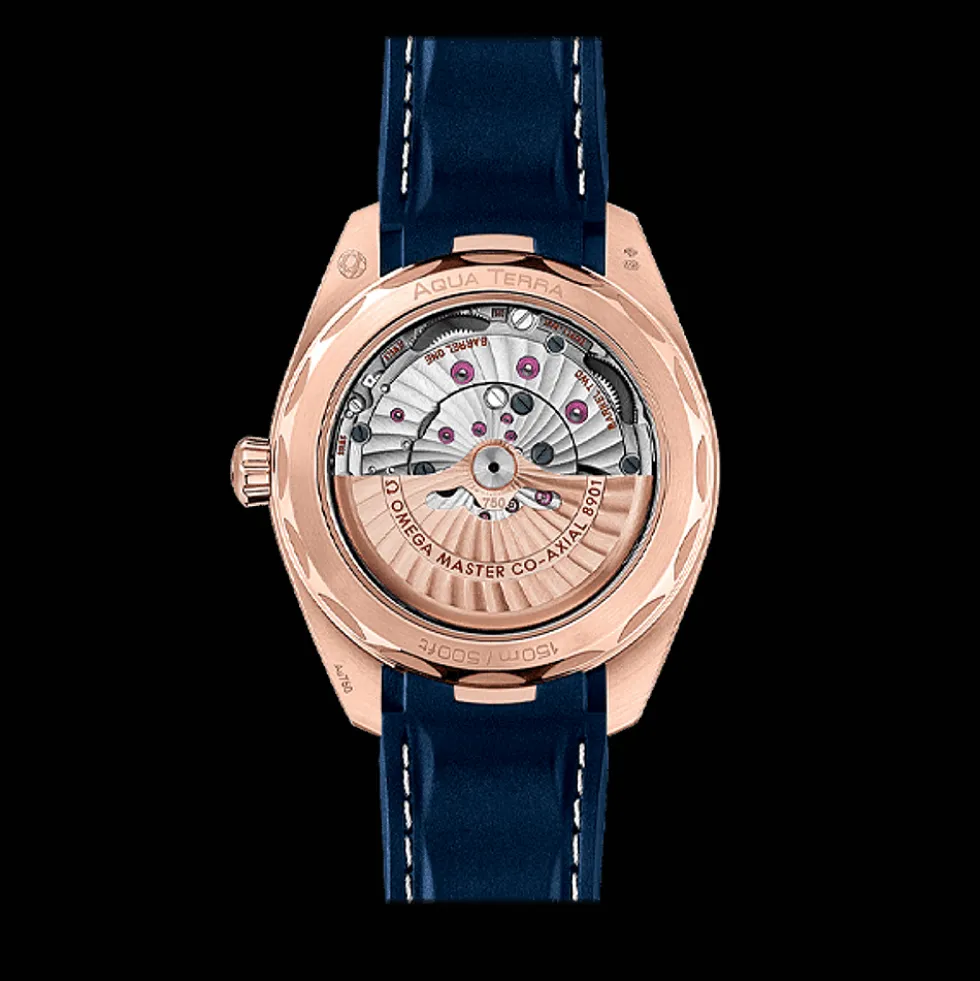 Seamaster Aqua Terra 150M 41mm