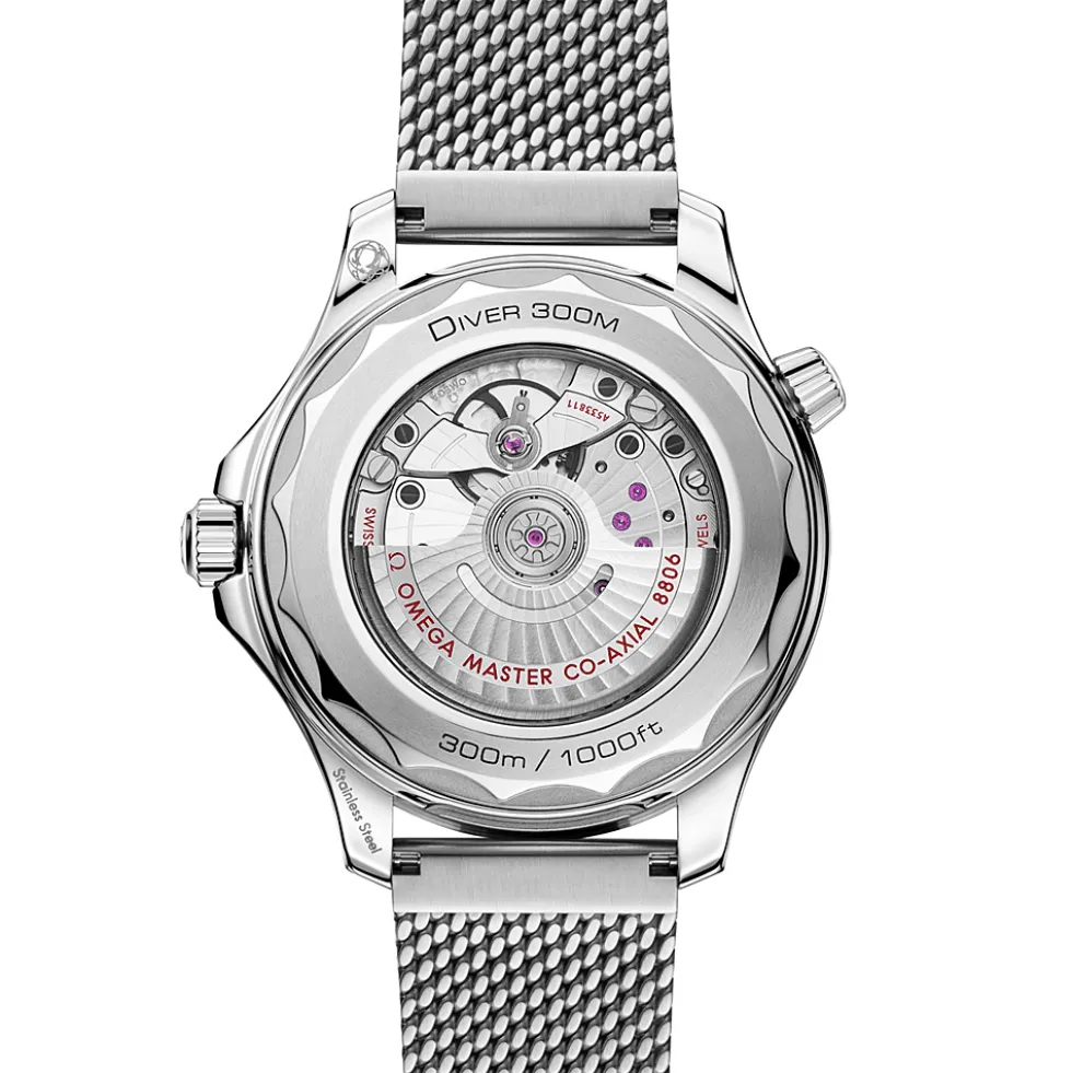 Seamaster Diver 300M