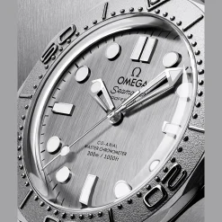 Seamaster Diver 300M