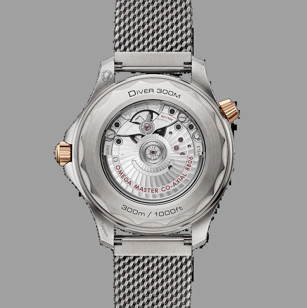 Seamaster Diver 300M