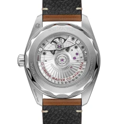 Seamaster Railmaster